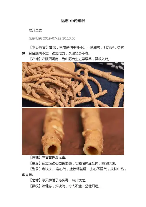 远志-中药知识