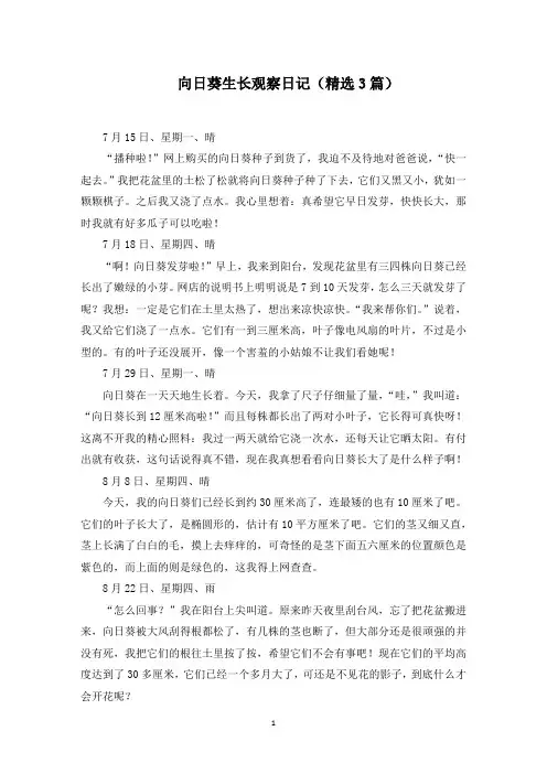 向日葵生长观察日记(3篇)(精选)