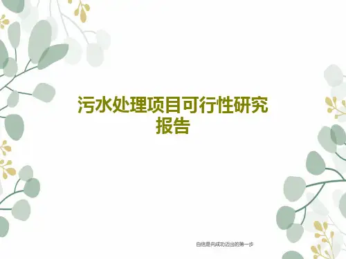 污水处理项目可行性研究报告15页PPT
