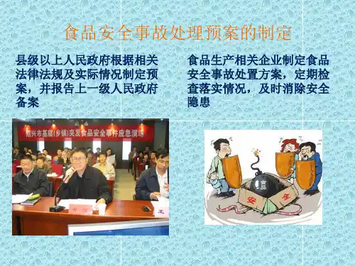 食品安全事故PPT课件