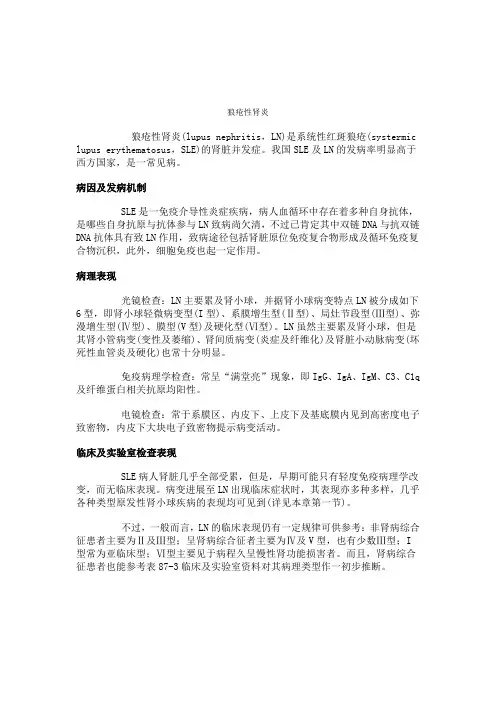 狼疮性肾炎