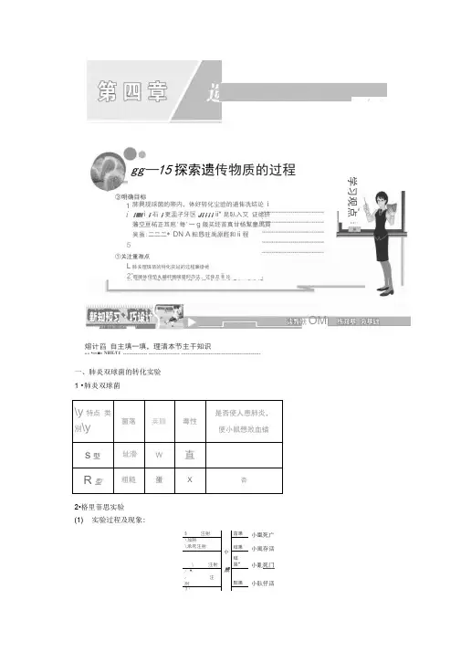 新苏教版生物必修2同步讲义：探索遗传物质的过程