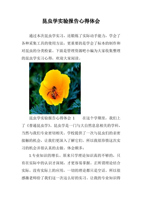 昆虫学实验报告心得体会