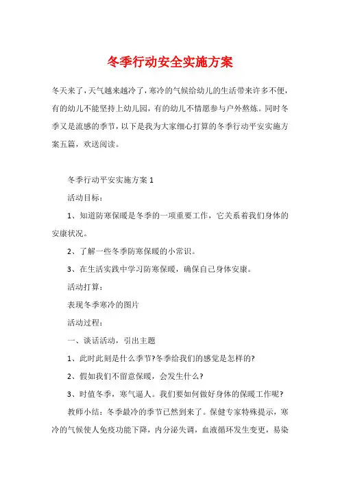 冬季行动安全实施方案