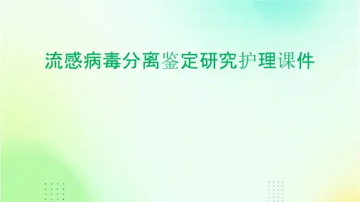 流感病毒分离鉴定研究护理课件