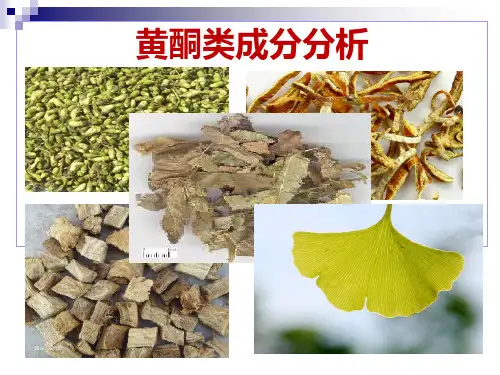 黄酮类成分分析分析