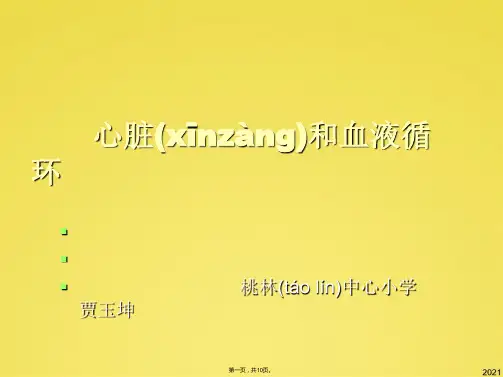 苏教版五年级科学上册《心脏和血液循环》(共10张PPT)
