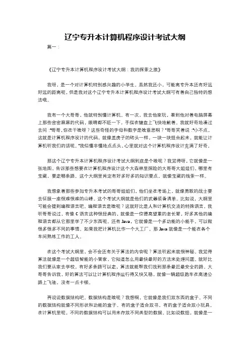 辽宁专升本计算机程序设计考试大纲