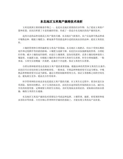 东北地区玉米高产栽培技术浅析