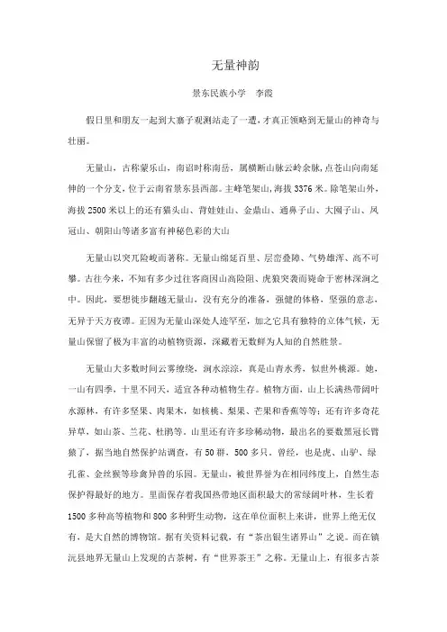 《无量神韵》 李霞