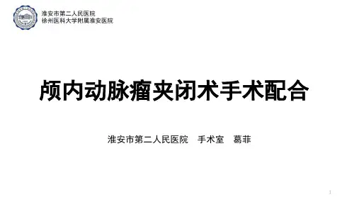颅内动脉瘤夹闭术PPT课件