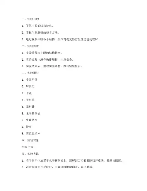 牛眼解剖实验报告