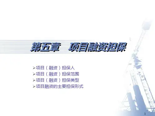 融资担保PPT课件