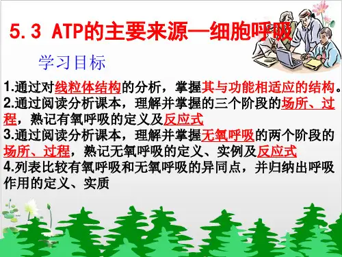 人教版生物必修一-ATP的主要来源—细胞呼吸-ppt精品课件