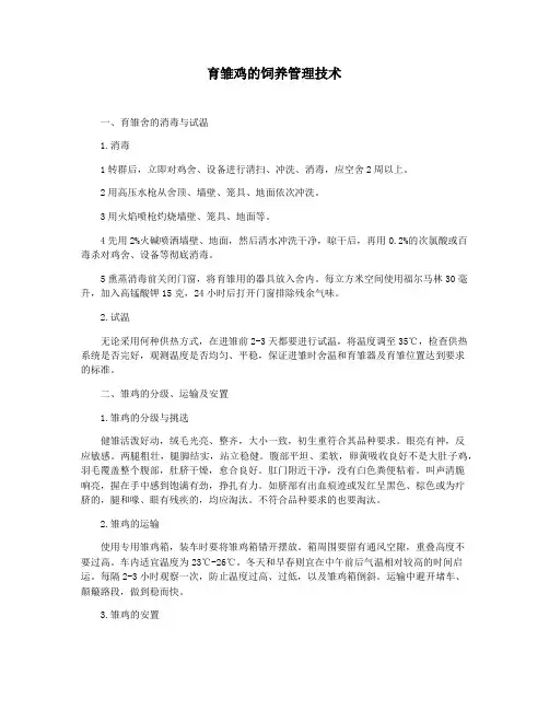 育雏鸡的饲养管理技术