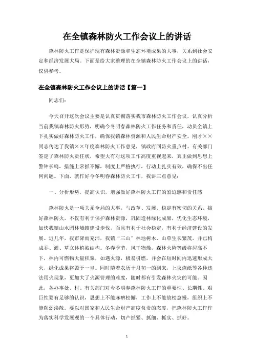在全镇森林防火工作会议上的讲话