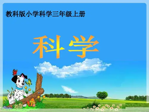 教科版《水和食用油的比较》PPT课件3