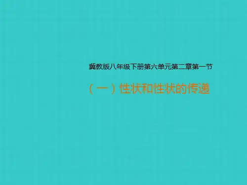 生物八级下册《遗传》课件