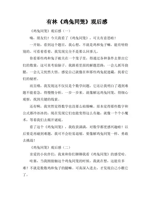 有林《鸡兔同笼》观后感