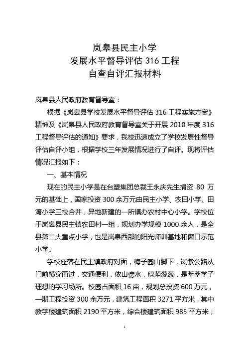 发展水平督导评估316工程自评报告