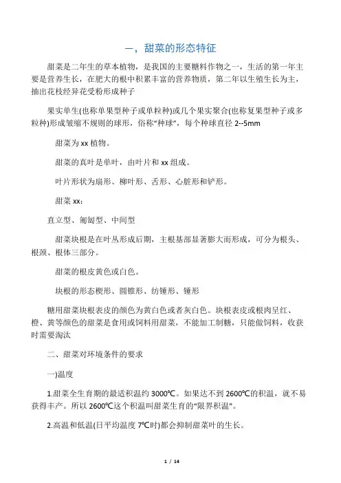 甜菜的形态特征