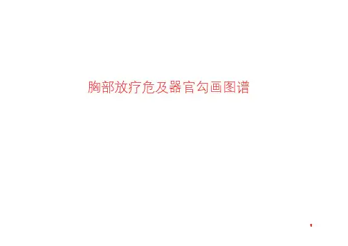胸部放疗危及器官勾画图谱