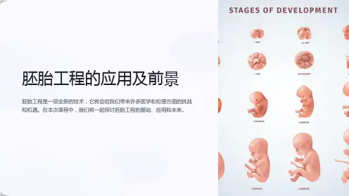 《胚胎工程的应用及前景》课件