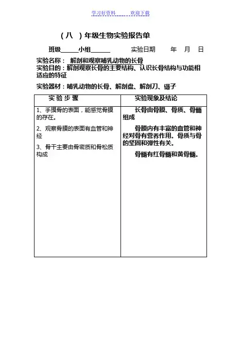 初中生物实验报告单