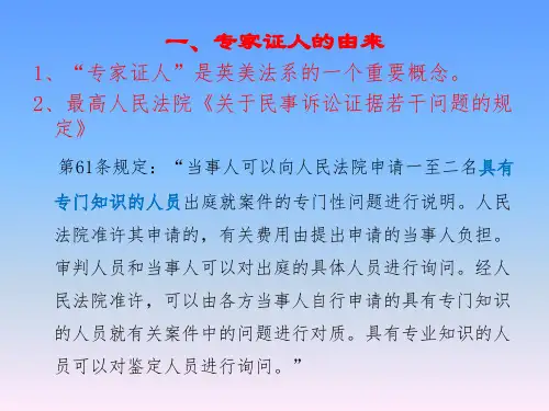 专家证人