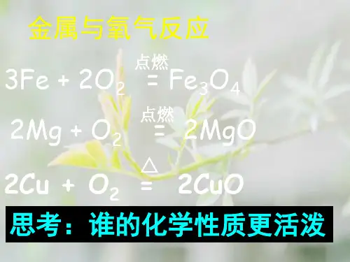 金属的性质PPT教学课件
