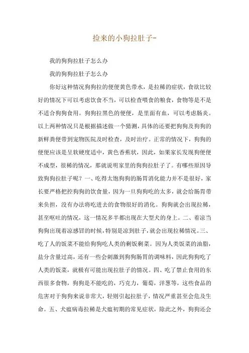 捡来的小狗拉肚子--我的狗狗拉肚子怎么办