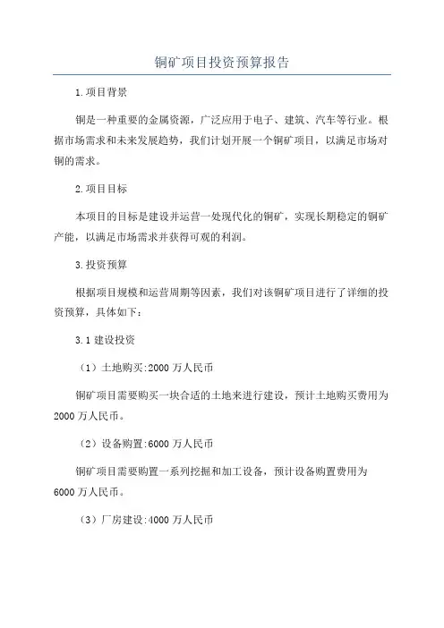 铜矿项目投资预算报告