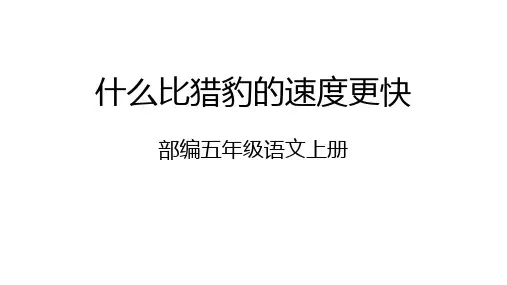 统编版五年级语文上册7什么比猎豹的速度更快课件(共36张PPT)