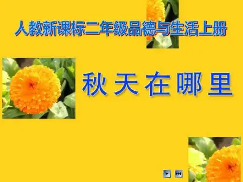 《秋天在哪里》金色的秋天PPT优秀课件