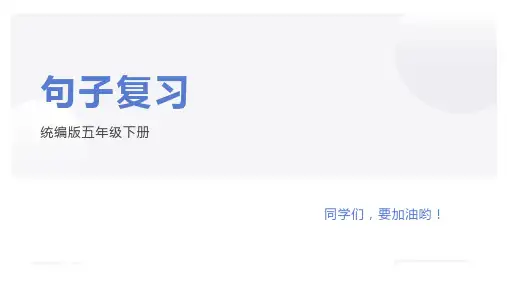 部编版五年级下册句子复习课件(共28张PPT)