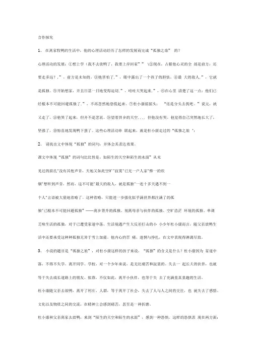 孤独之旅导学案答案 2.doc