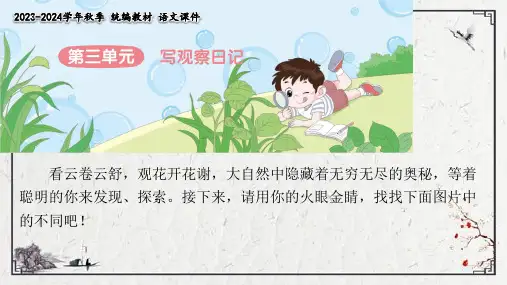 部编版语文四年级上册第三单元 习作：  写观察日记   课件(共42张PPT)