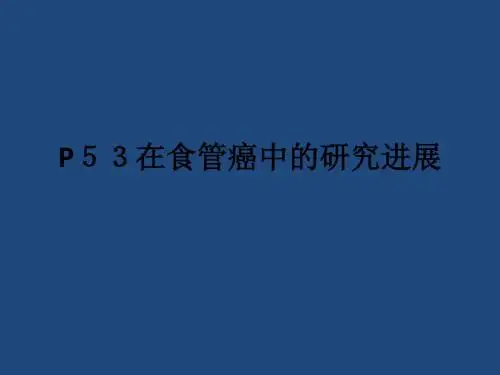 p53在食管癌中的研究进展ppt课件