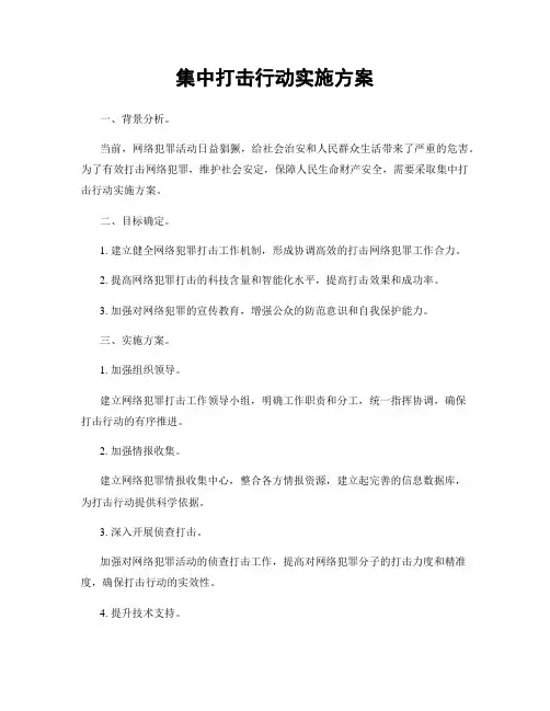 集中打击行动实施方案