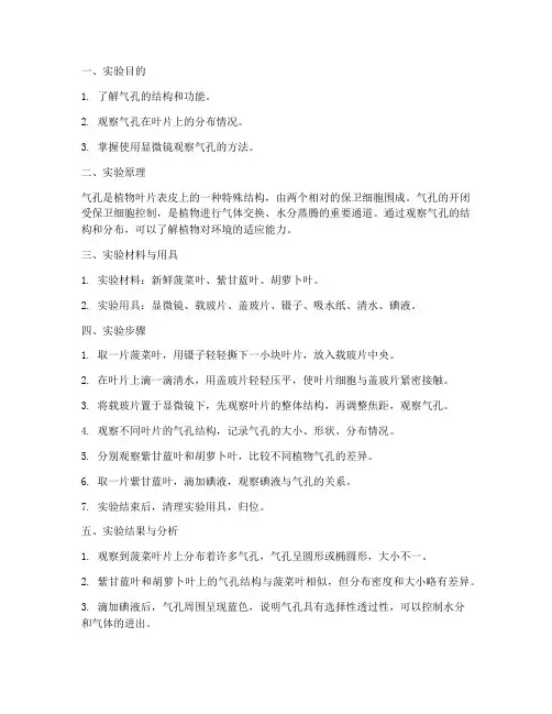 气孔观察的实验报告