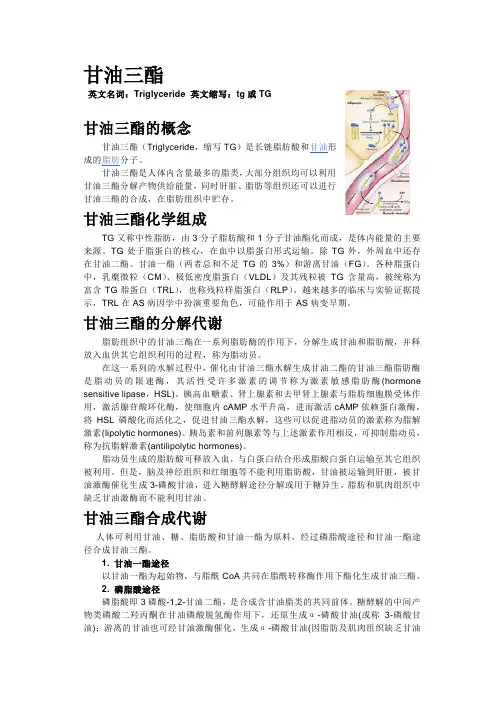 甘油三酯