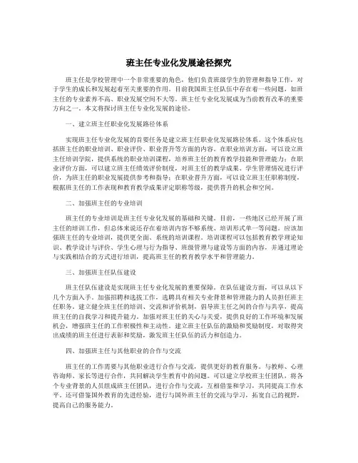 班主任专业化发展途径探究