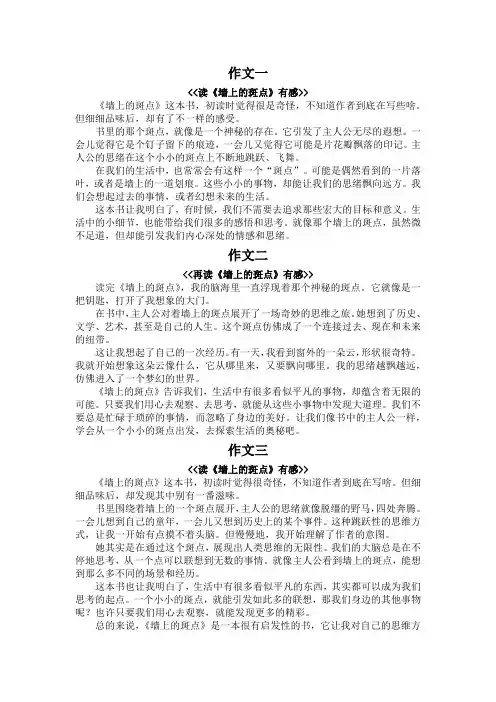 墙上的斑点读后感400字
