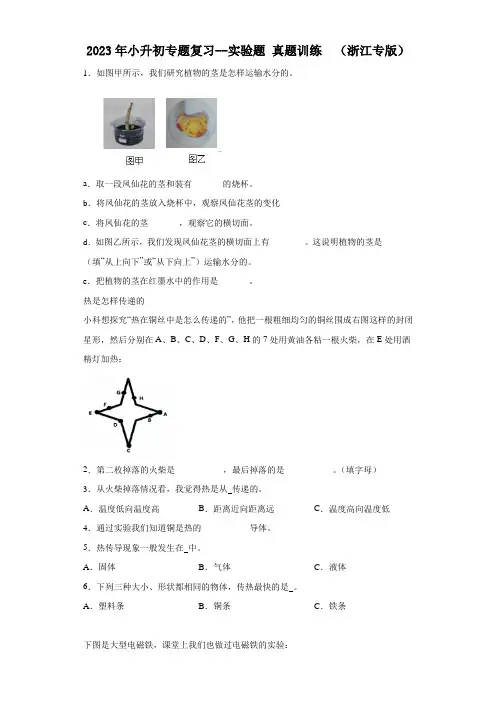 2023年小升初专题复习--实验题真题训练(浙江专版)