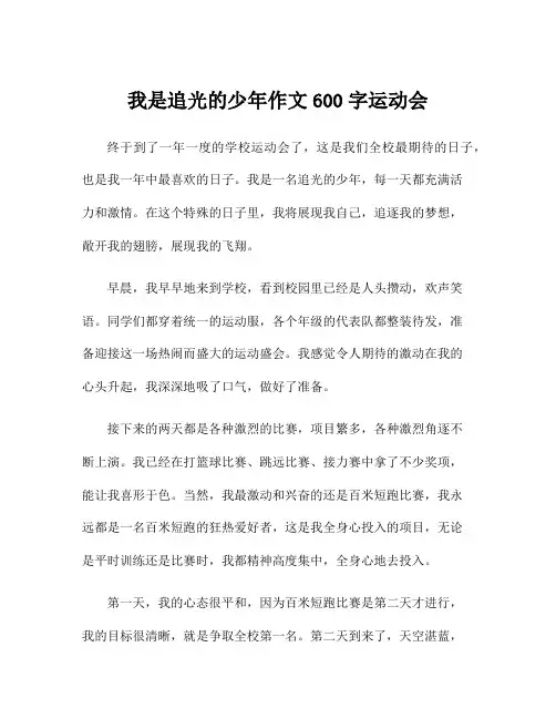 我是追光的少年作文600字运动会