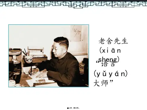 小学语文《趵突泉》公开课课件