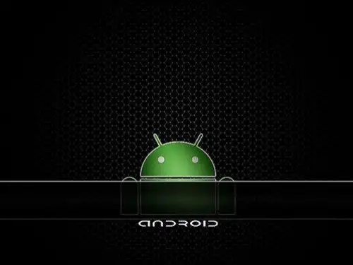 Android手机技巧攻略(一)精品PPT课件