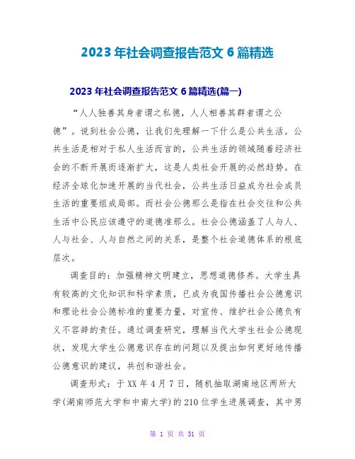 2023年社会调查报告范文6篇精选