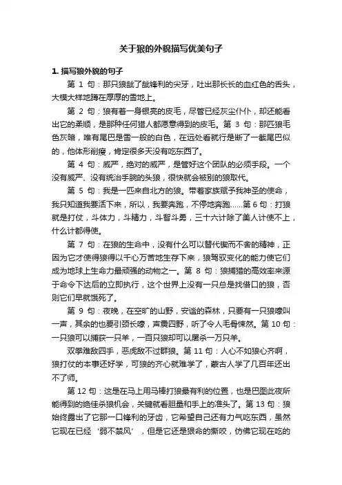 关于狼的外貌描写优美句子