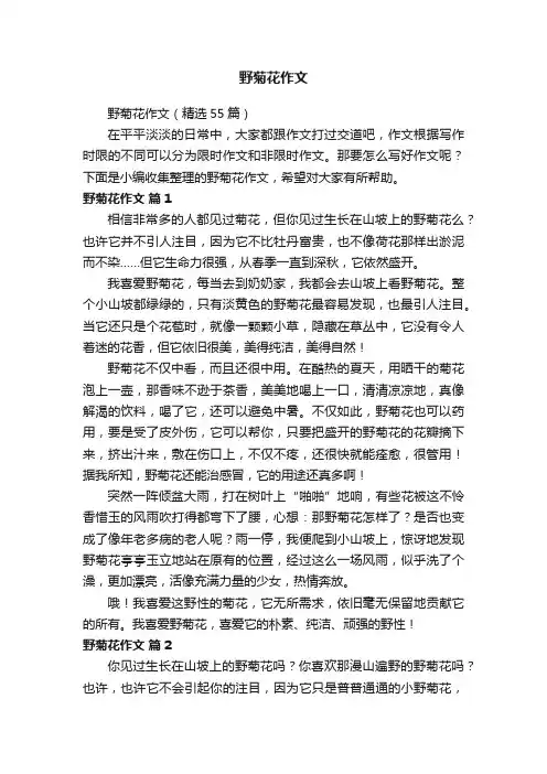 野菊花作文（精选55篇）